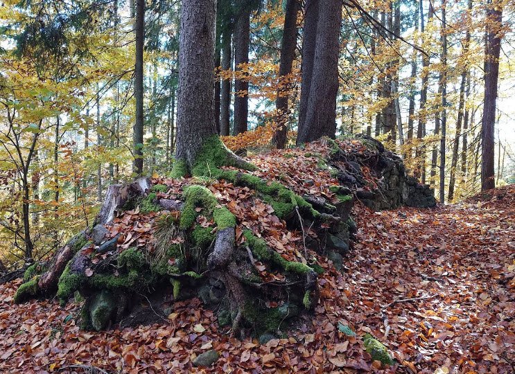Cetatea Tartód (Vărşag), Romania, Romania